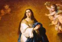 Imaculada Conceição da Bem-aventurada Virgem Maria