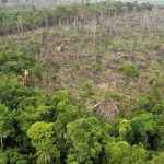 20190425102648561857u