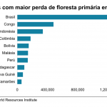 grafico-de-desmatamento-por-pais-25042019163536456