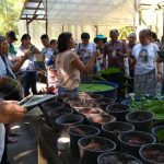 WhatsApp Image 2019-07-05 at 15.45.22