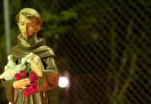 Francisco de Assis: do Rompimento à Fraternidade Radical