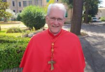 Papa Leão XIV ao cardeal Steiner: “Permaneça na direção da Arquidiocese por mais dois anos”